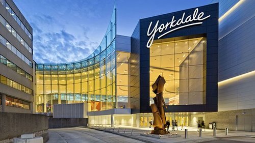 bridgit-field-yorkdale.jpeg